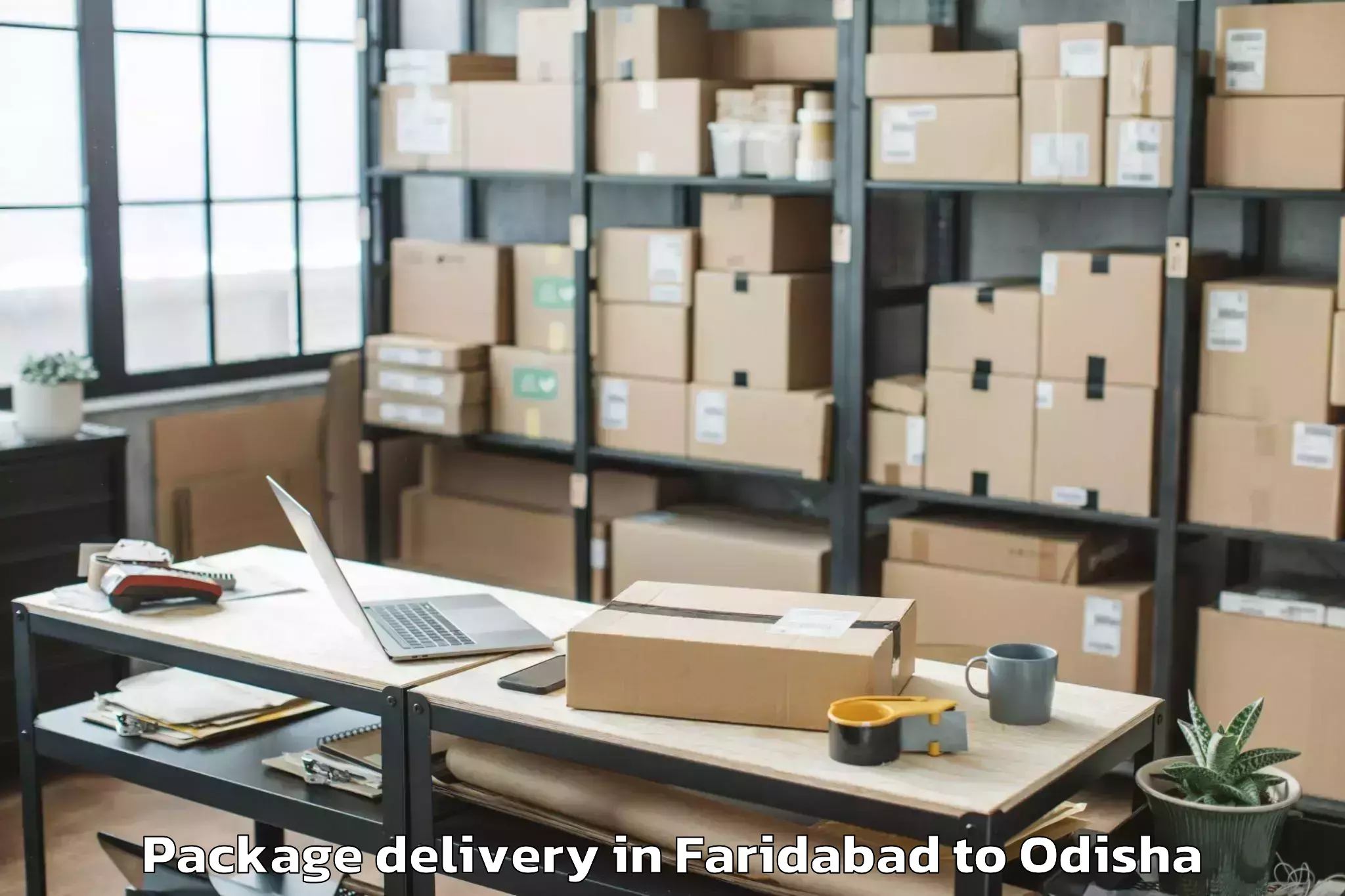 Faridabad to Delang Package Delivery